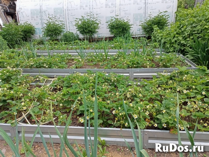 Продам дом 50 м2 изображение 3