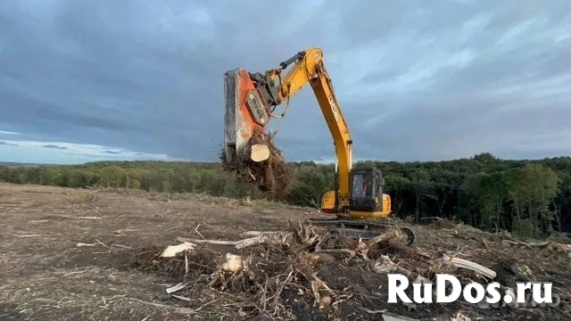 Мульчер гусеничный от 1 гектара изображение 3