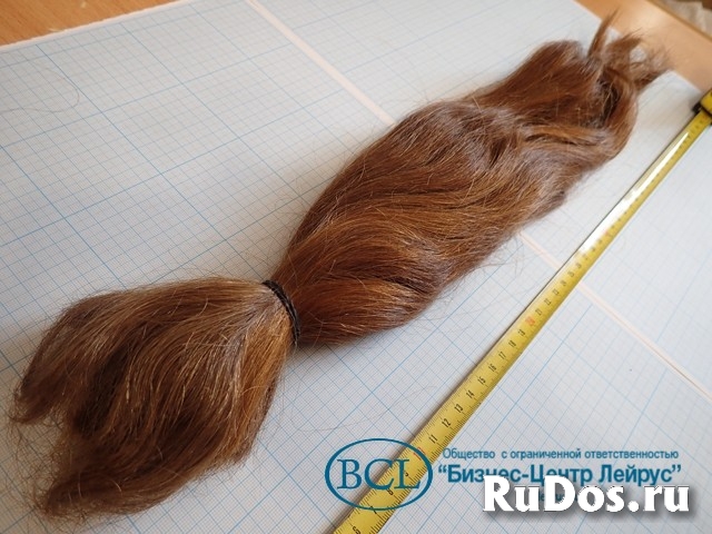 Волос натуральный женский русый неокрашенный срез длина 500мм изображение 4