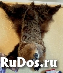 , частное объявление изображение 3