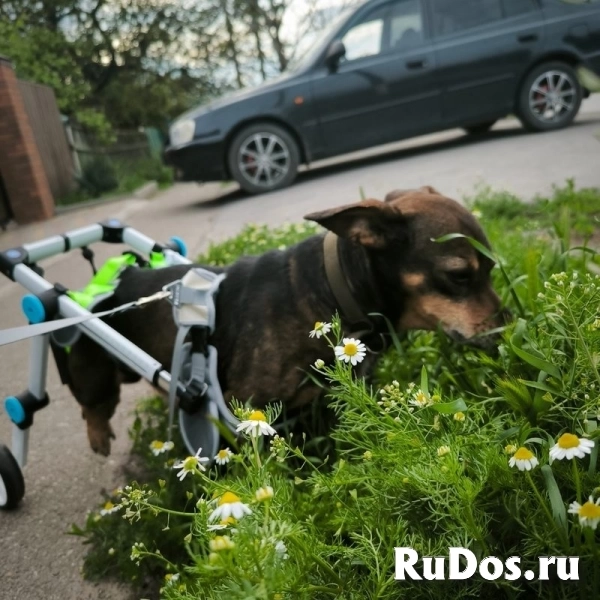 Чудесный мальчик Митя из приюта ищет семью. изображение 5