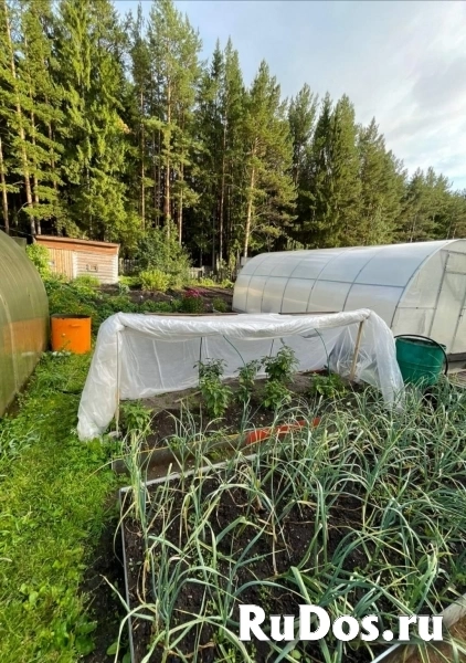 Продам дом 29 м2 изображение 3