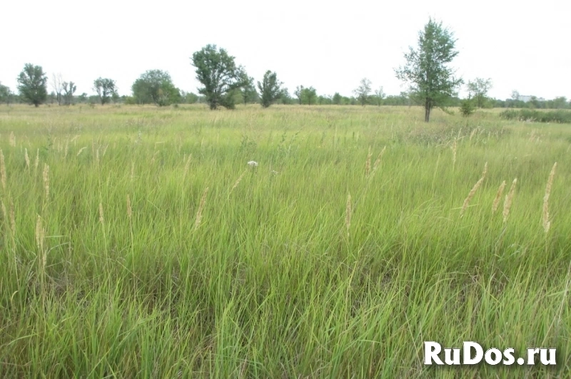 Продам коммерческую недвижимость 4500 сот изображение 6