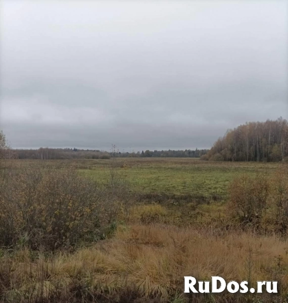 Продам коммерческую недвижимость 5170 сот изображение 5