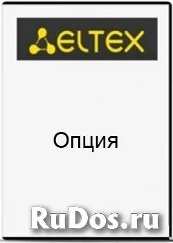 Опция ELTEX SBC1-RESERVE для активации резервирования SBC на платформе SMG-1016M фото