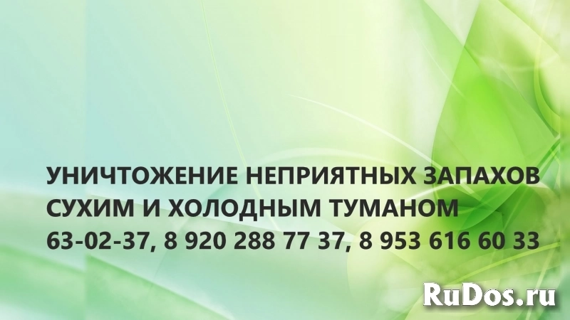 Удаление неприятного запаха после смерти человека фото