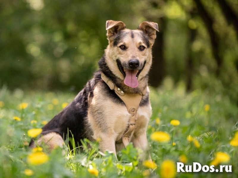 Барри ищет своего человека! фотка