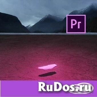 Подписка (электронно) Adobe Premiere Pro for enterprise 1 User Level 1 1-9, Продление 12 Мес. фото