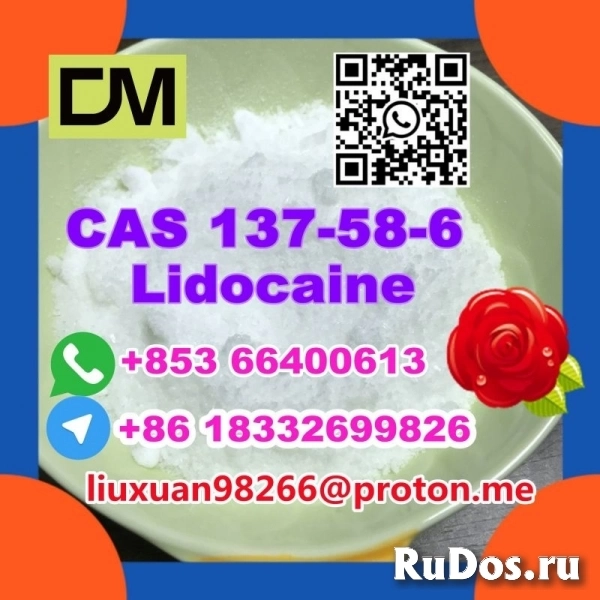 Manufacturer Supply Raw Material CAS 137-58-6 Lidocaine изображение 5