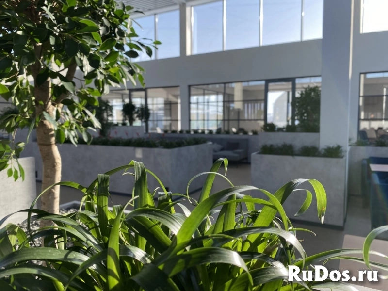 Сдам коммерческую недвижимость 10 м2 изображение 9