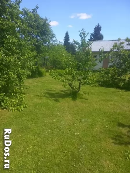 Продам ухоженный участок правильной формы фотка