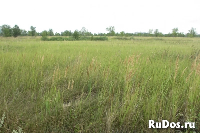 Продам коммерческую недвижимость 4500 сот изображение 3