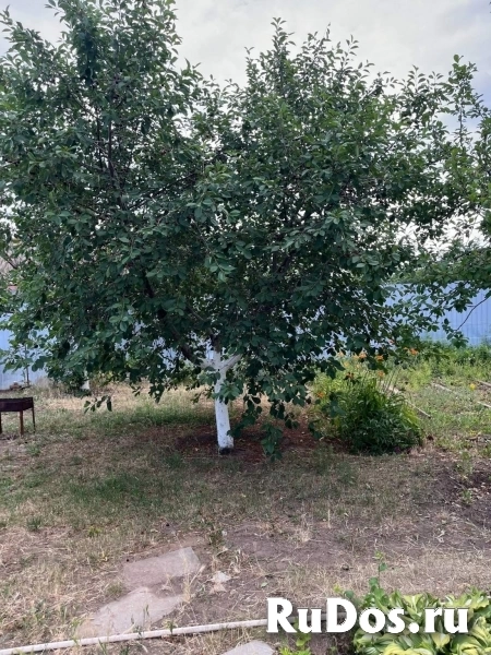 Продам дом 26 м2 изображение 5