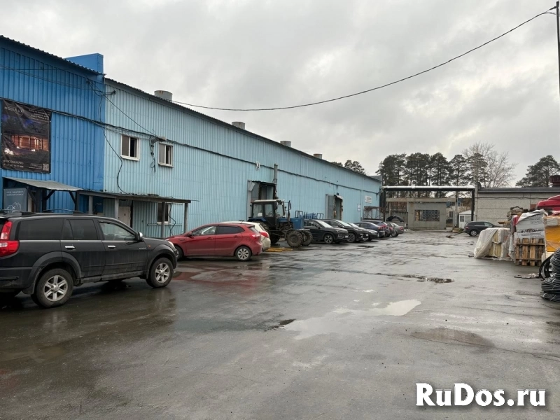 Сдам коммерческую недвижимость 462.5 м2 изображение 5