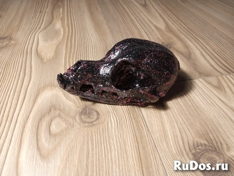 Череп собачий декорированный Череп собачий декорированный фото
