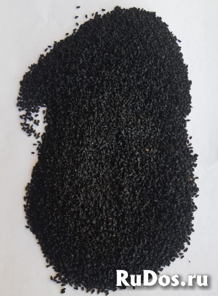 Семена Черного Тмина Индия фото