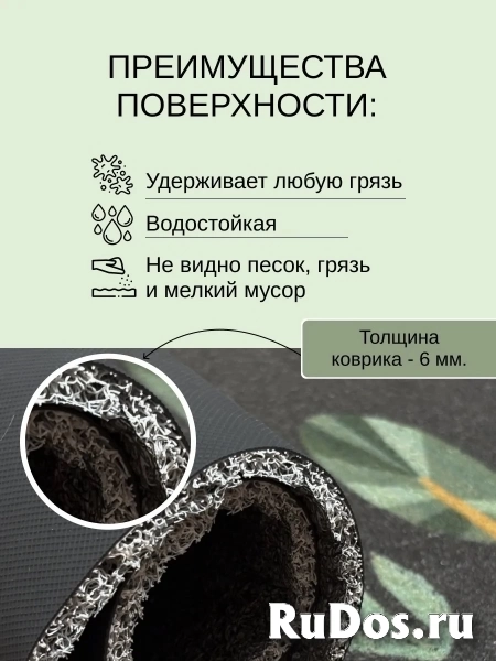 , частное объявление изображение 4