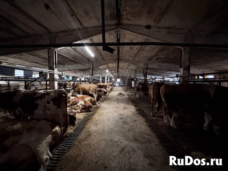 Сдам коммерческую недвижимость 3350 м2 фотка