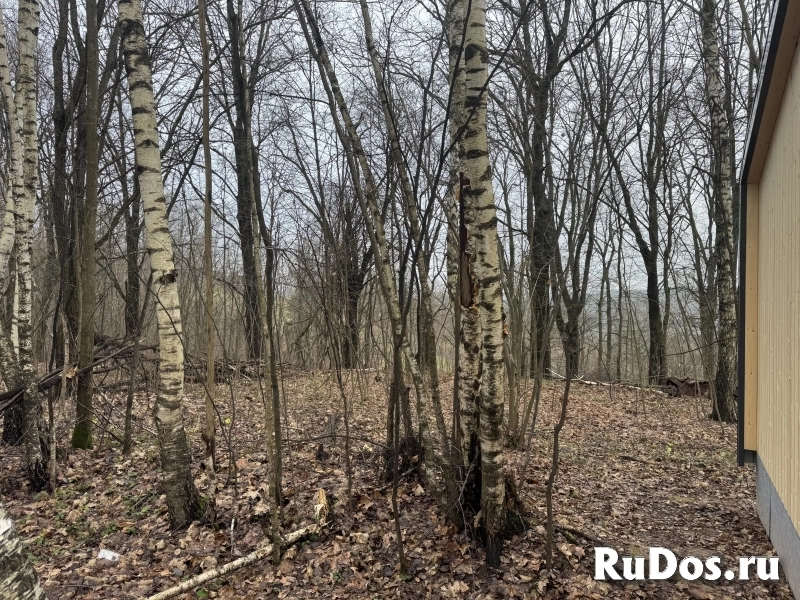 Прилесной участок с потрясающей природой изображение 6