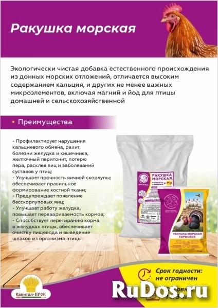 Ракушка морская кальциевая подкормка для кур, голубей и декоративных птиц 1кг фото