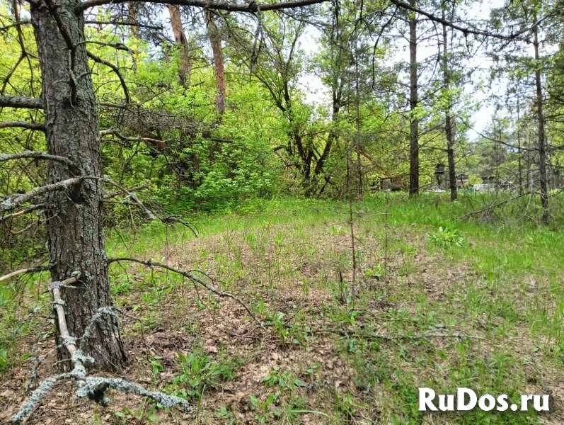 Продам коммерческую недвижимость 103 м2 изображение 4