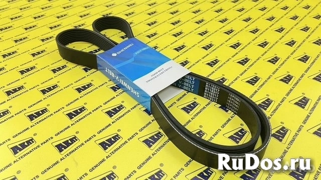 Ремень OEM R118317 изображение 4