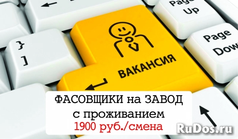 Фасовщики корма для кошек / Работа с проживанием Фасовщики корма для кошек / Работа с проживанием фото