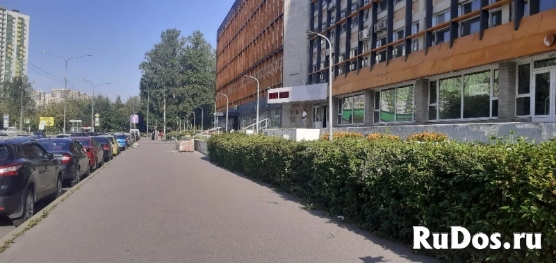 Аренда помещения свободного назначения  400 кв.м. в многофункциональном центре «Бестужевский» фото