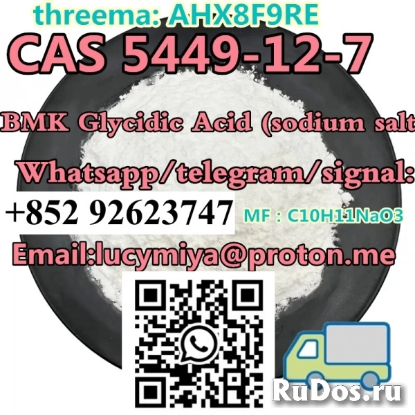 CAS 5449-12-7 New BMK  (sodium salt) изображение 4