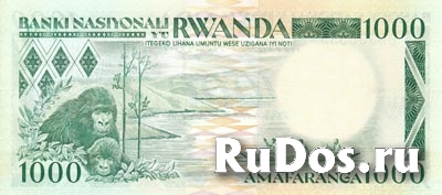 Банкнота Руанды фотка