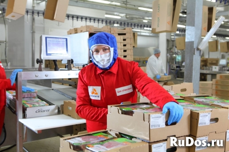 Оператор линии фото