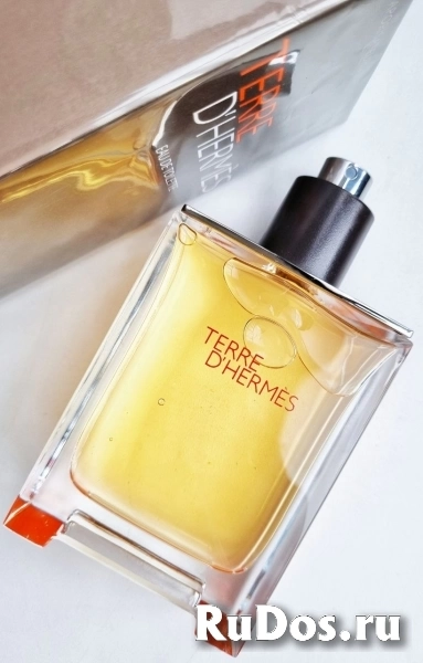 Terre d'Hermes Hermès for men фото