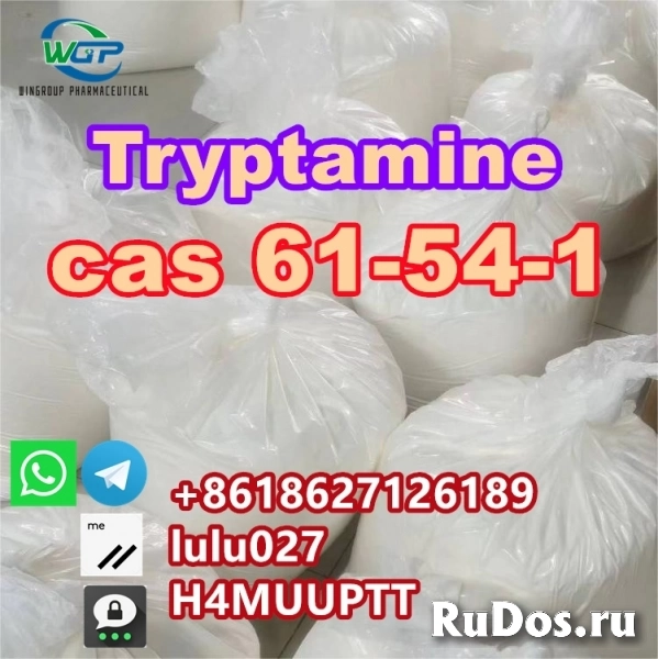 Hot Selling Tryptamine CAS 64-54-1 with Safe and Fast Delivery фото