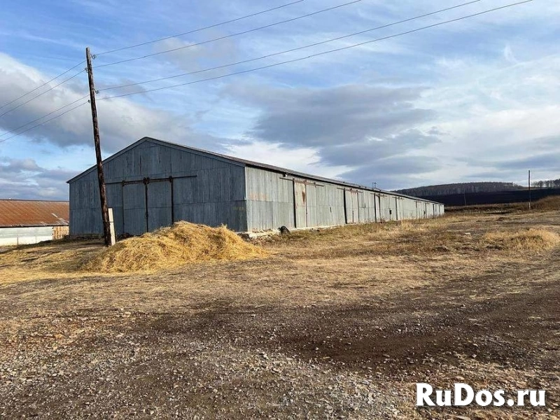 Продам коммерческую недвижимость 2699.8 м2 изображение 4