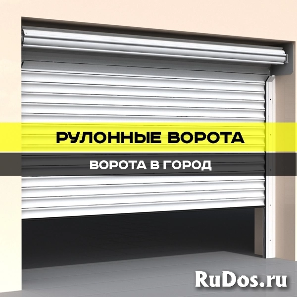 Рулонные ворота изображение 6