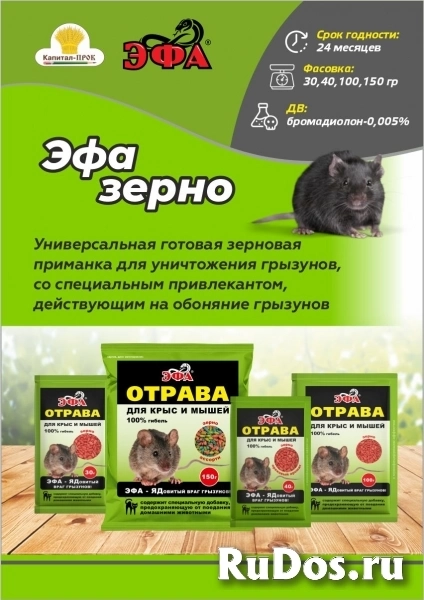 ЭФА зерновая приманка 100г – эффективное средство для борьбы с грызунами. фото