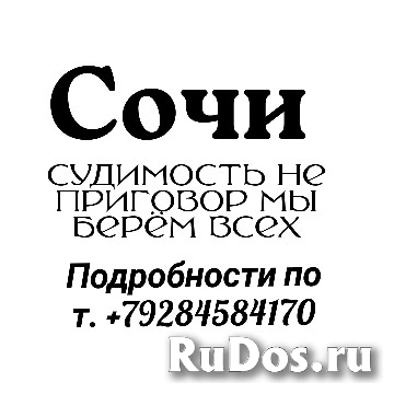 Добрый день, есть у нас в Москве, Сочи. Ростове на Дону бездомные фото