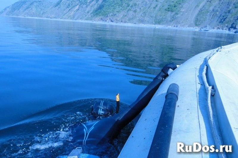 Навстречу китам! Авторский тур по акватории Охотского моря. изображение 5