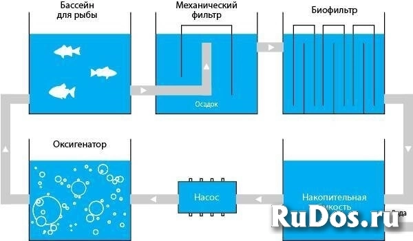 Бассейны для разведения рыбы, раков и т. д. изображение 4