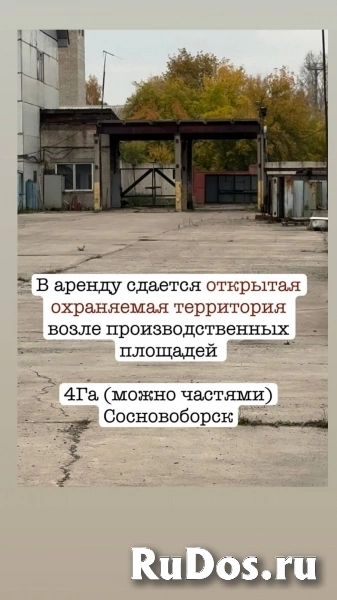 Сдается открытая охраняемая территория фото