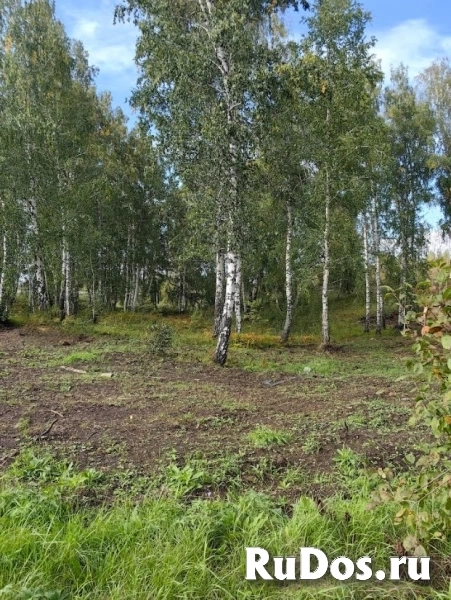 Производственная База 1,1 Га изображение 9