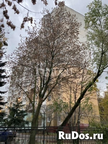 Продам 1 комнатную квартиру 39 м2 фотка