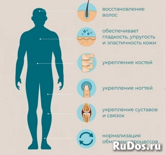 Коллаген плацентарный морской - суставы, волосы, ногти, кожа изображение 4