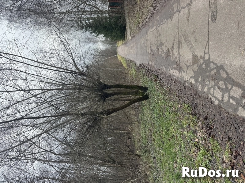 Живописный участок Истра изображение 3