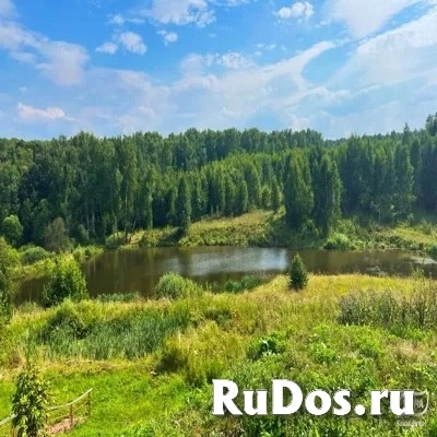 Лесной участок по Ярославскому шоссе фото
