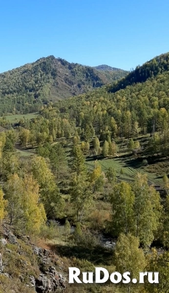 Участок 1.5 га на Алтае в горах у речки, в дали от цивилизации фотка