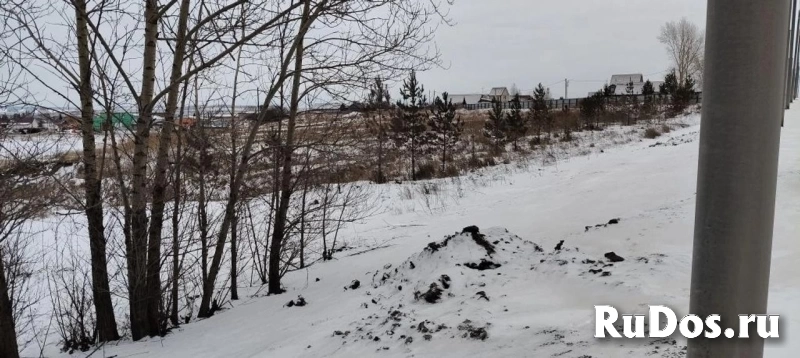 Продам участок 1980.2 сот. изображение 8