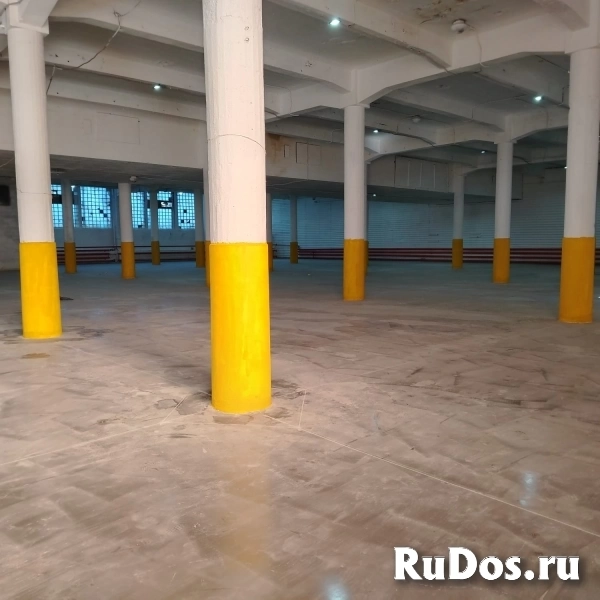 Сдам коммерческую недвижимость 300 м2 фото