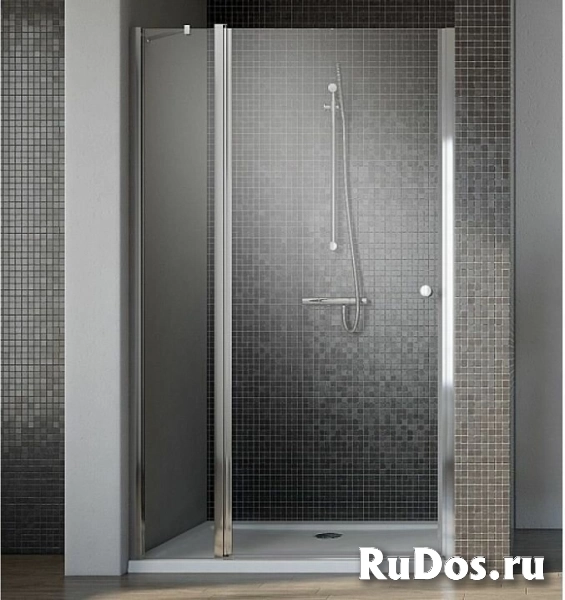 Душевая дверь Radaway Eos II DWJ 100 L 3799442-01L фото