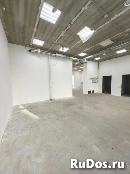 Помещение 140 м², два зала изображение 5